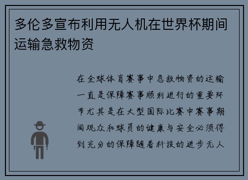 多伦多宣布利用无人机在世界杯期间运输急救物资